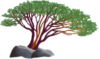 Manzanita Insurance Logo